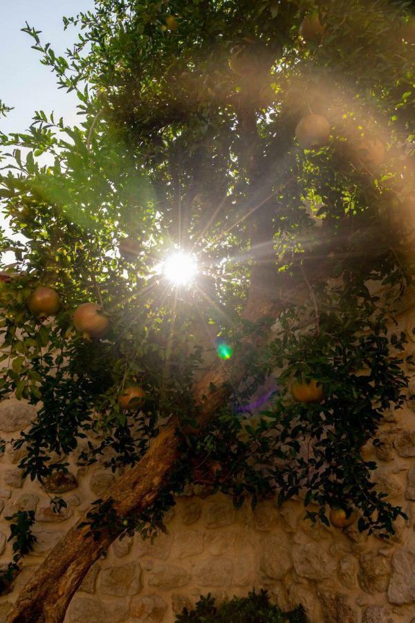 Yeşil Ev Cafe&Boutique Hotel HATAY Dış mekan fotoğraf